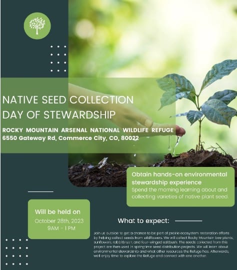 Seed collection graphic
