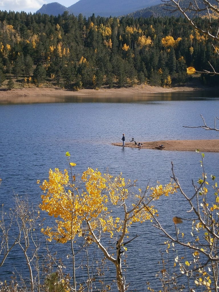 fishing, lake, trees-5663324.jpg