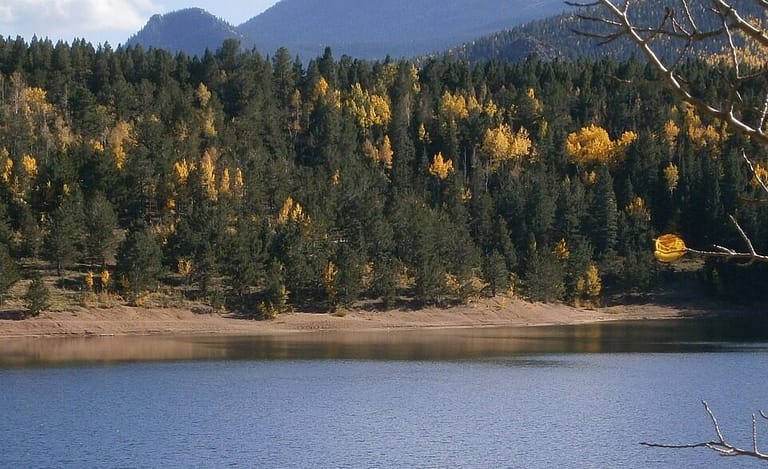 fishing, lake, trees-5663324.jpg