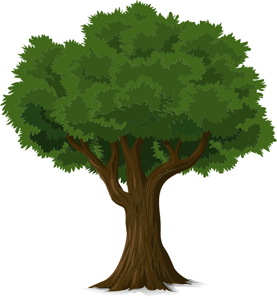 tree, trunk, leaves-576847.jpg